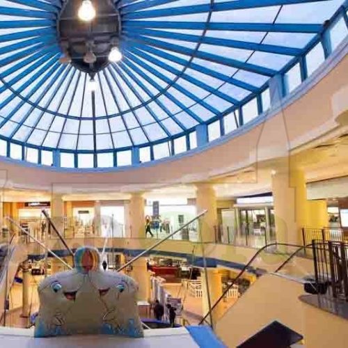 Al-Magnifico-Centro-Al-Magnifico-3-500x500