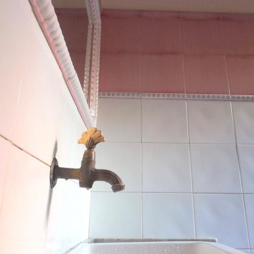 IMG_20210219_124222-001-500x500