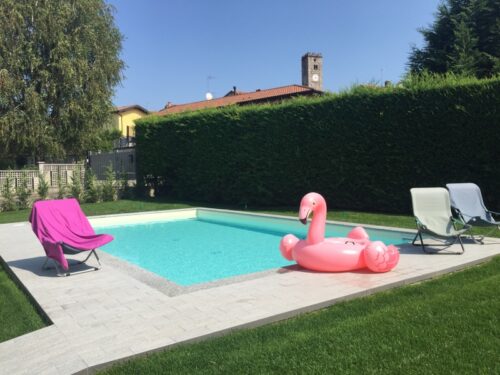 IMG_7286-500x375 (1)