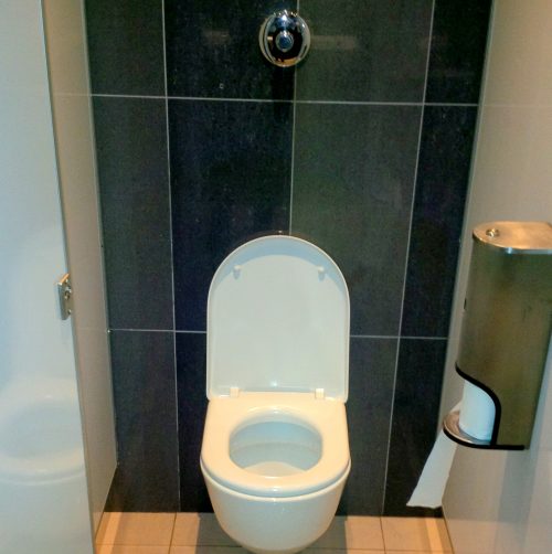 IMG_20141023_130633-500x502