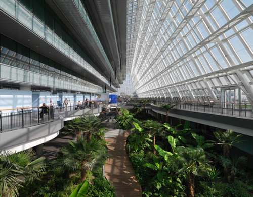 ospedale-mestre-500x390